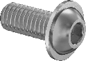 P-DTF2021 - M6 flanged button screw