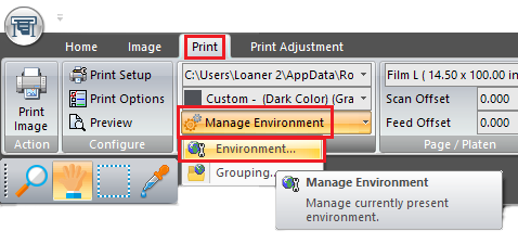 Environment... (Print - Manage Environment)