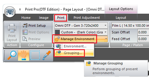 DTF Print - Manage Environment - Grouping