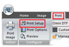 Print Setup button